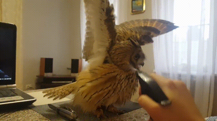 ""  
