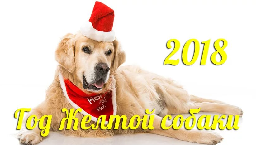  ,   2018!