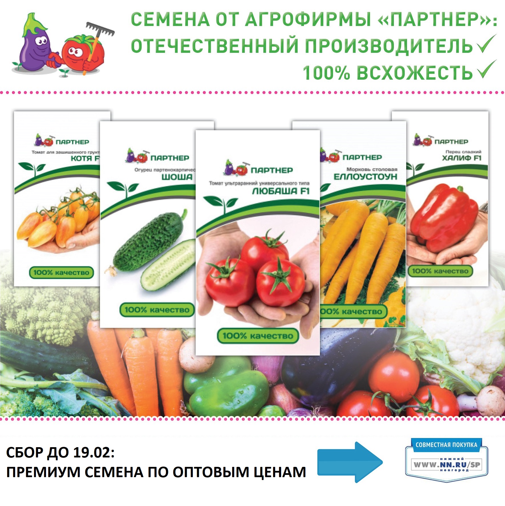 Семена По Оптовым Ценам Интернет Магазин