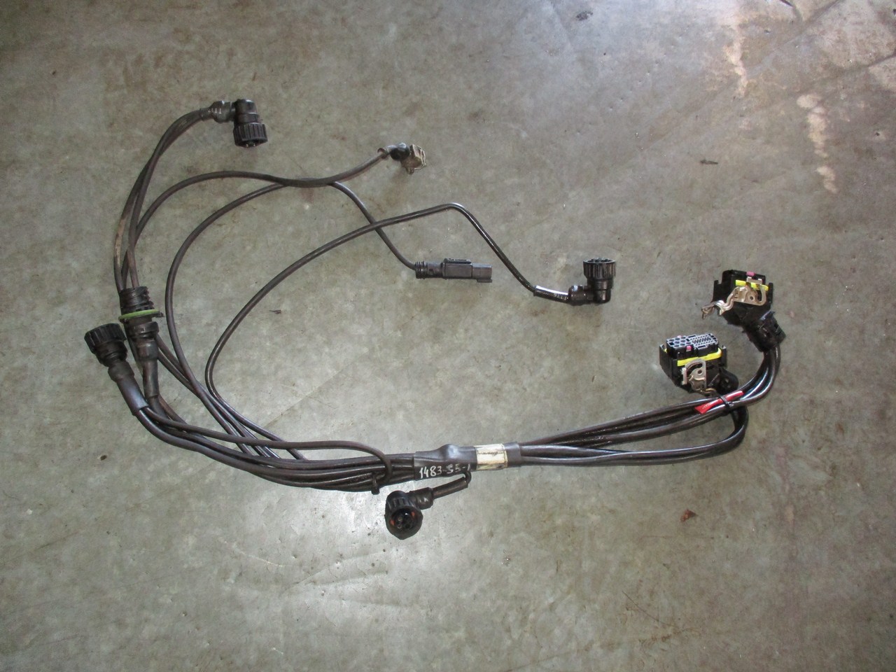      (C99, C430, E67.A, E67.B, T113, T115, T116, V117, V118) 1483