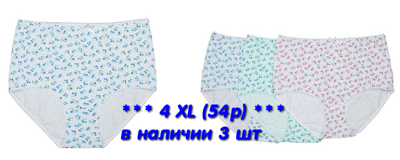  .   XL+      .