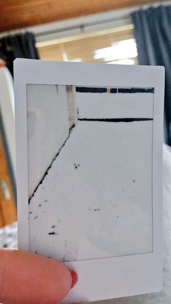    Polaroid
