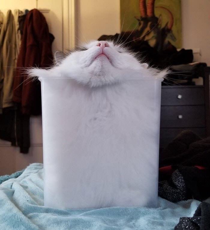   ,   -  