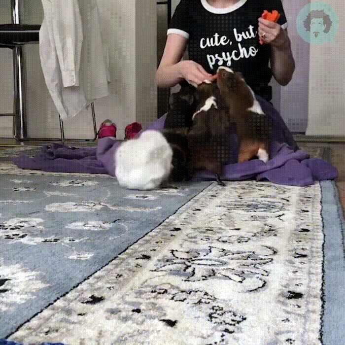  ۣ!   ۣ!