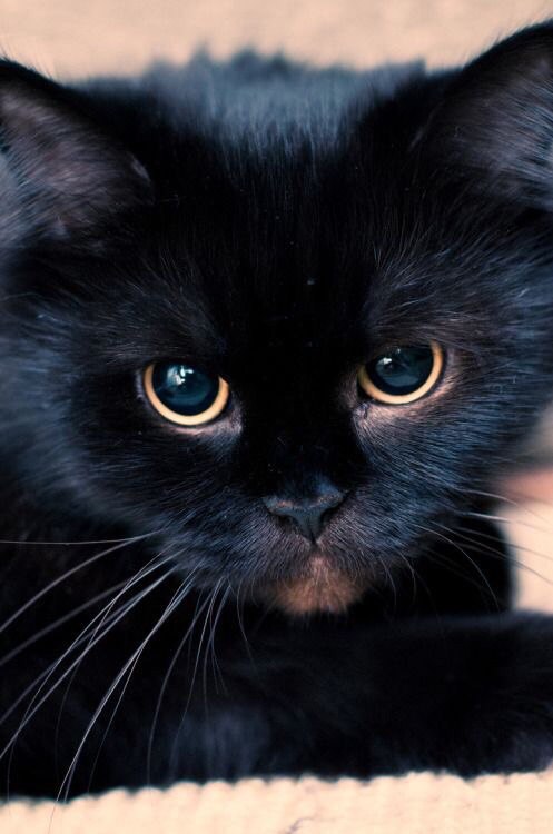   ,  ޣ   ?      ,   -   .