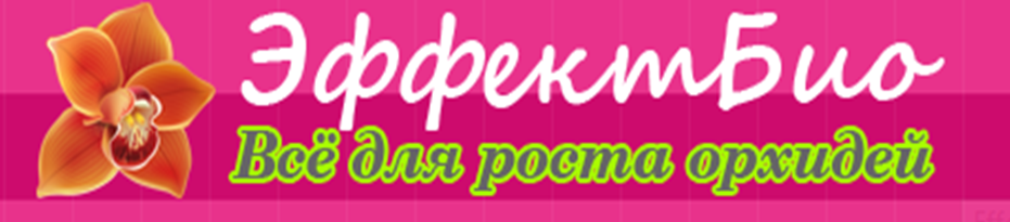 ӣ  !    - , , , , .      -     . !