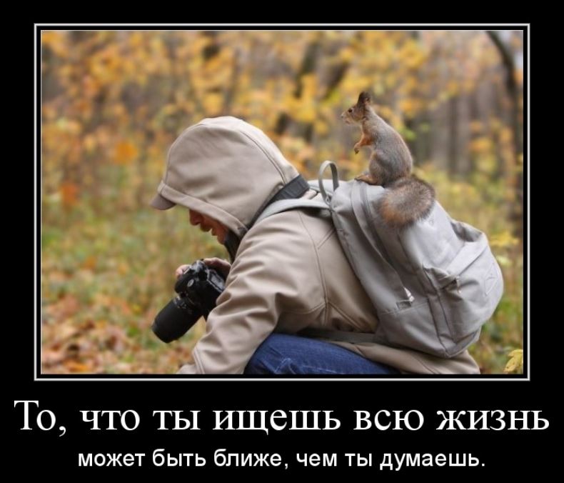 ,    !      !    - !