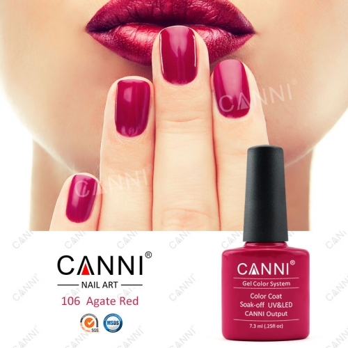  .   Canni –     .          . ,  -,    
