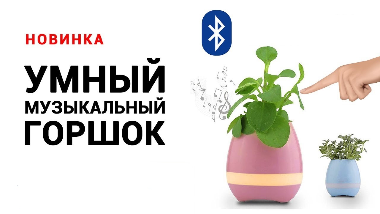    - Smart Music Flower.  !