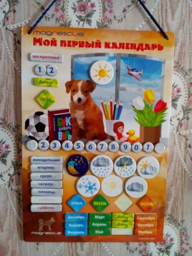     MAGNETICUS.   ,  