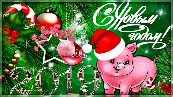    2019 !!