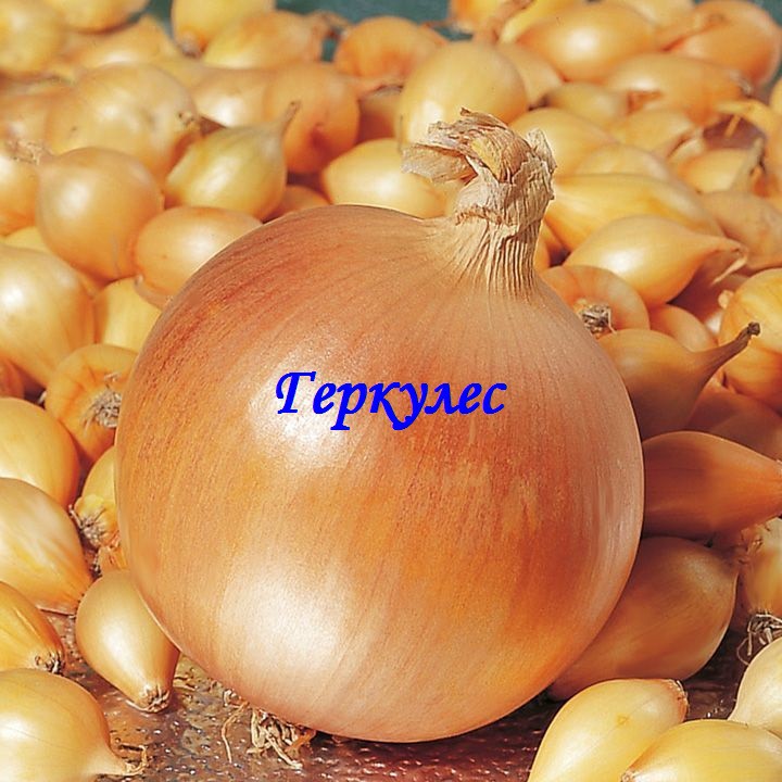   10.02. - - ,    !  4.