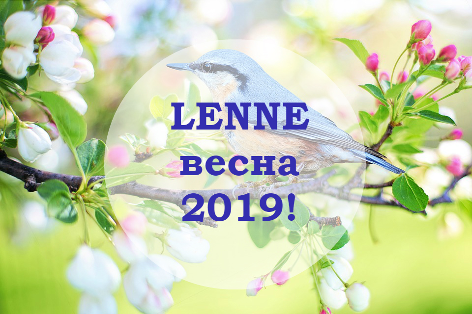    10.02.2019.   Kerry/Lenne 2019!      .  -1