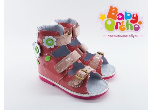  . Baby-Ortho - ,      .  .