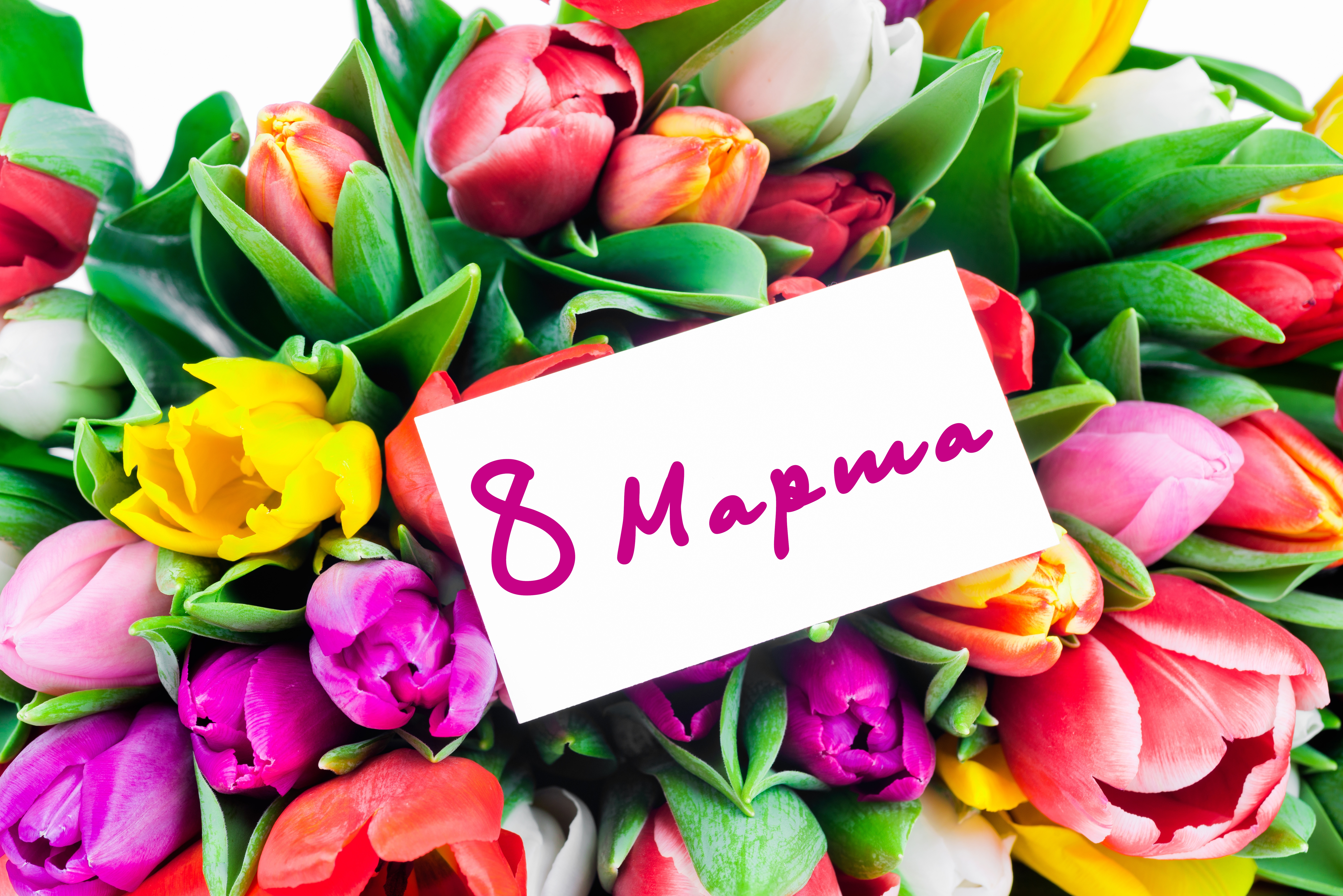 Широкоформатные открытки с 8 марта