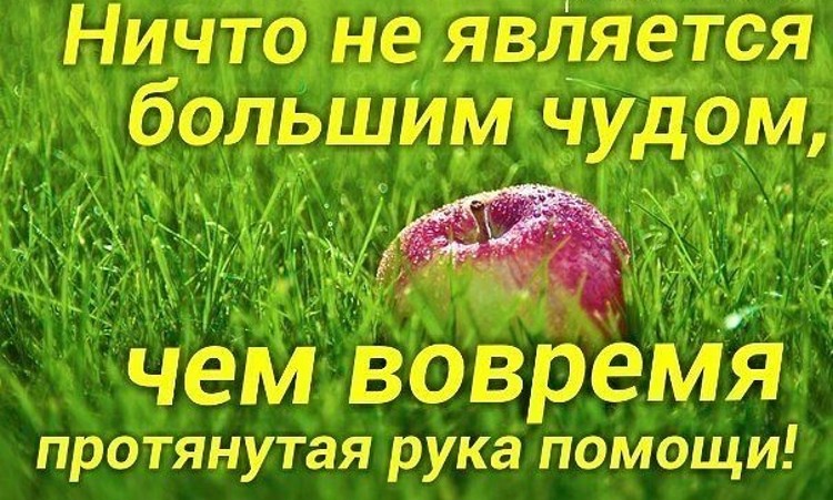 ,   !   - !