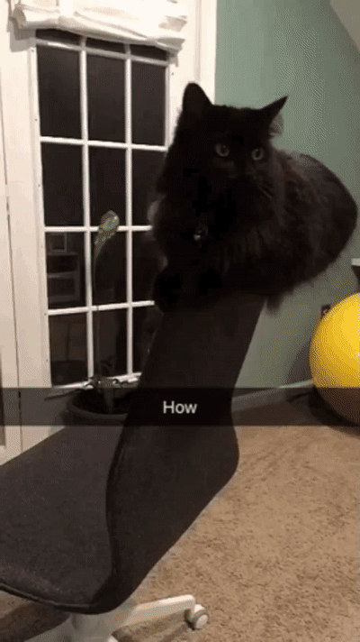      :   ?