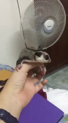  .  .