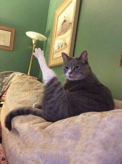 ! 