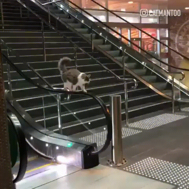 ,    