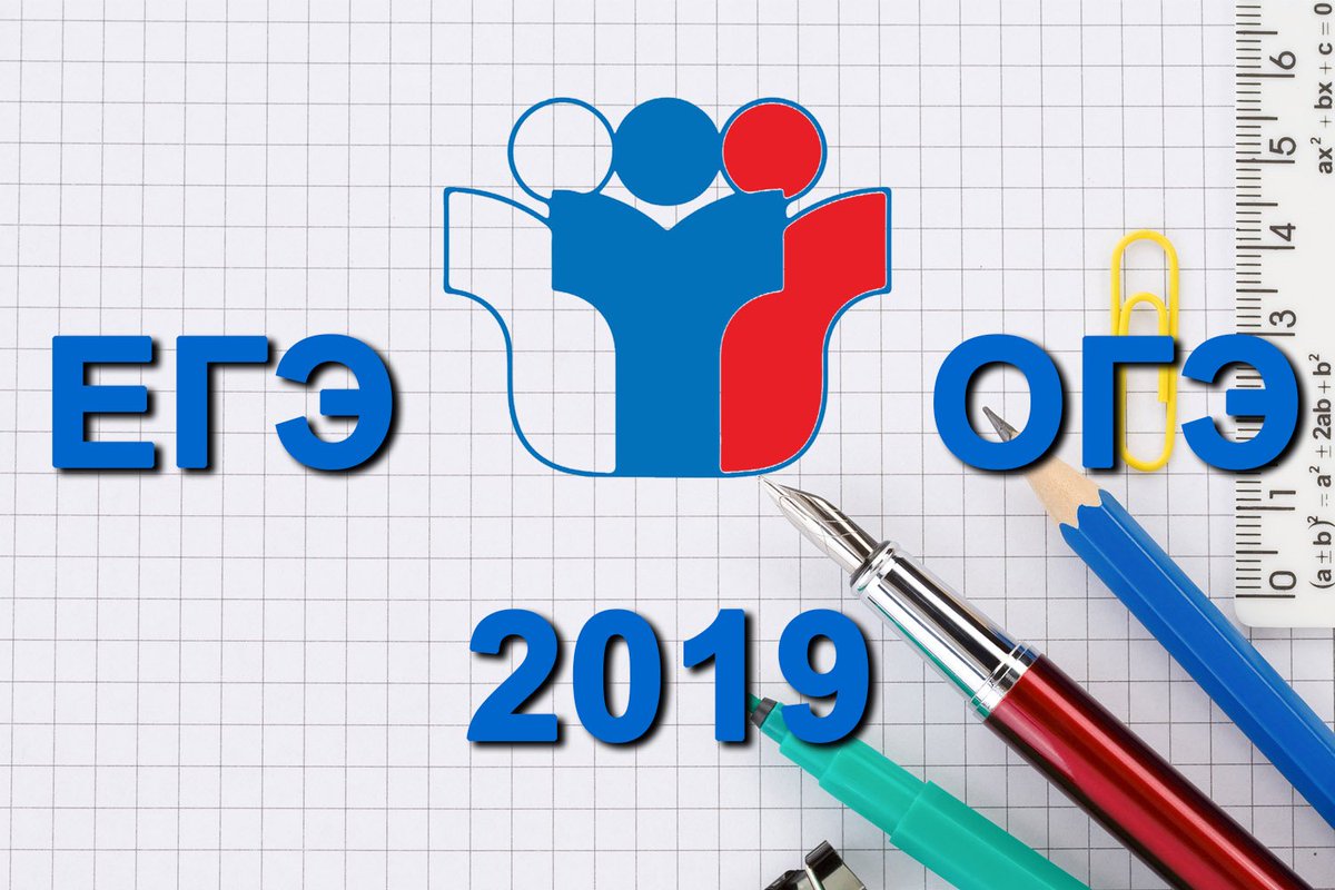          2019 