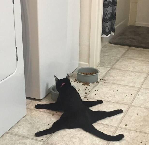     ,     .
