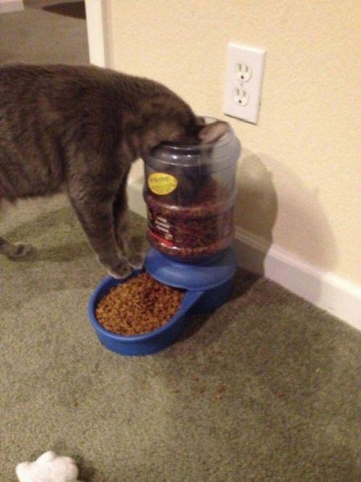     ,     .