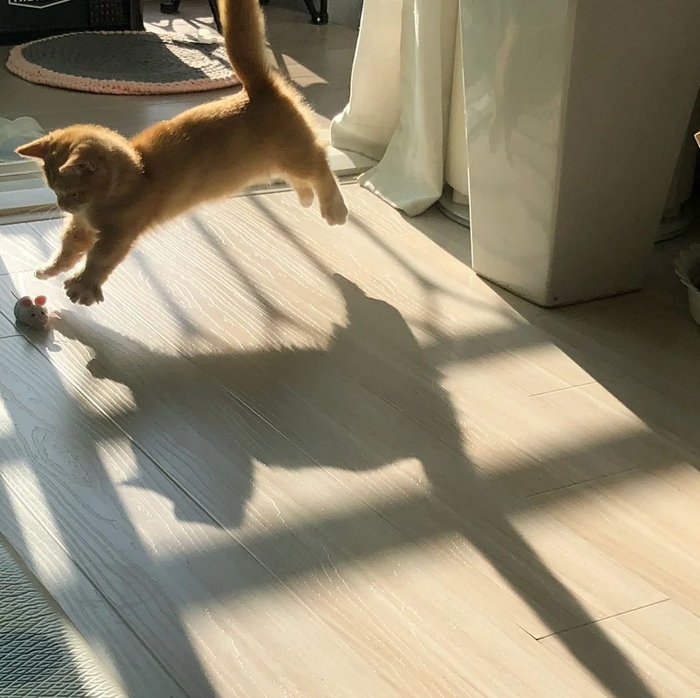   !  -  !  -   .