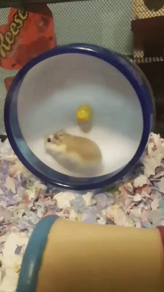 .  . .  .