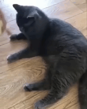  -      :