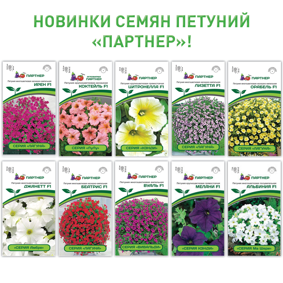 семена цена каталог
