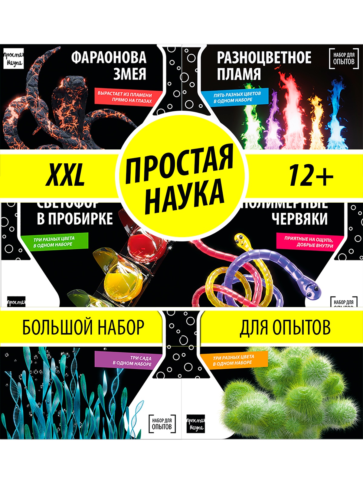   22.10.  ,   ,       -26