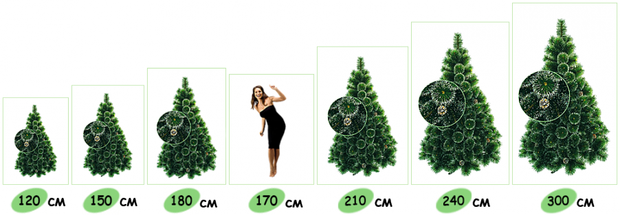        ,         60   3 .  - !
