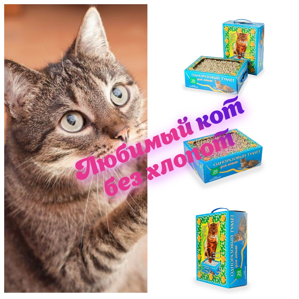   -  !   .     !  !