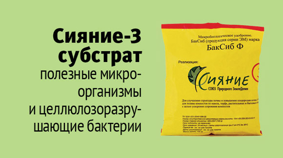 Сияние 1 Купить В Интернет Магазине