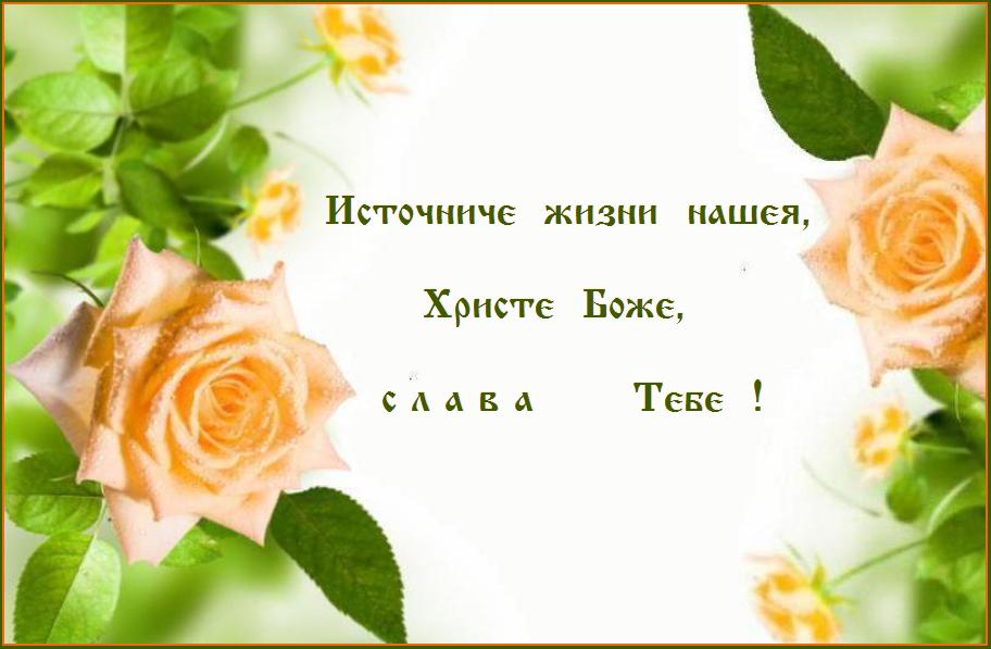   ,  .,   !