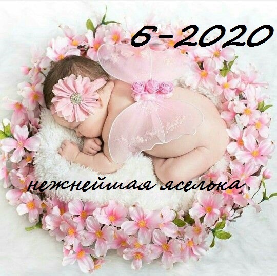 Сбор до 12 июня 2020. Цены от 20р.Огромный выбор. Без рядов.