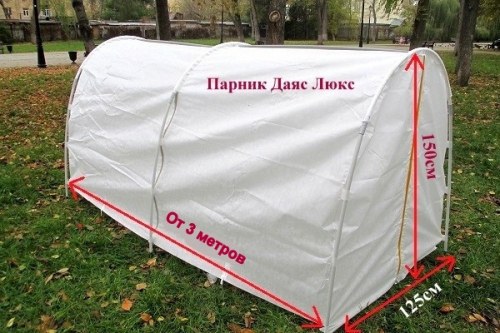    11  .  "**" ,   , , ,  ,    .- 56