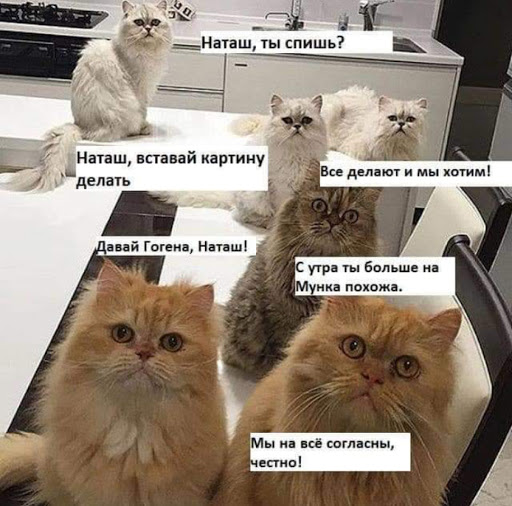  !   .   .  