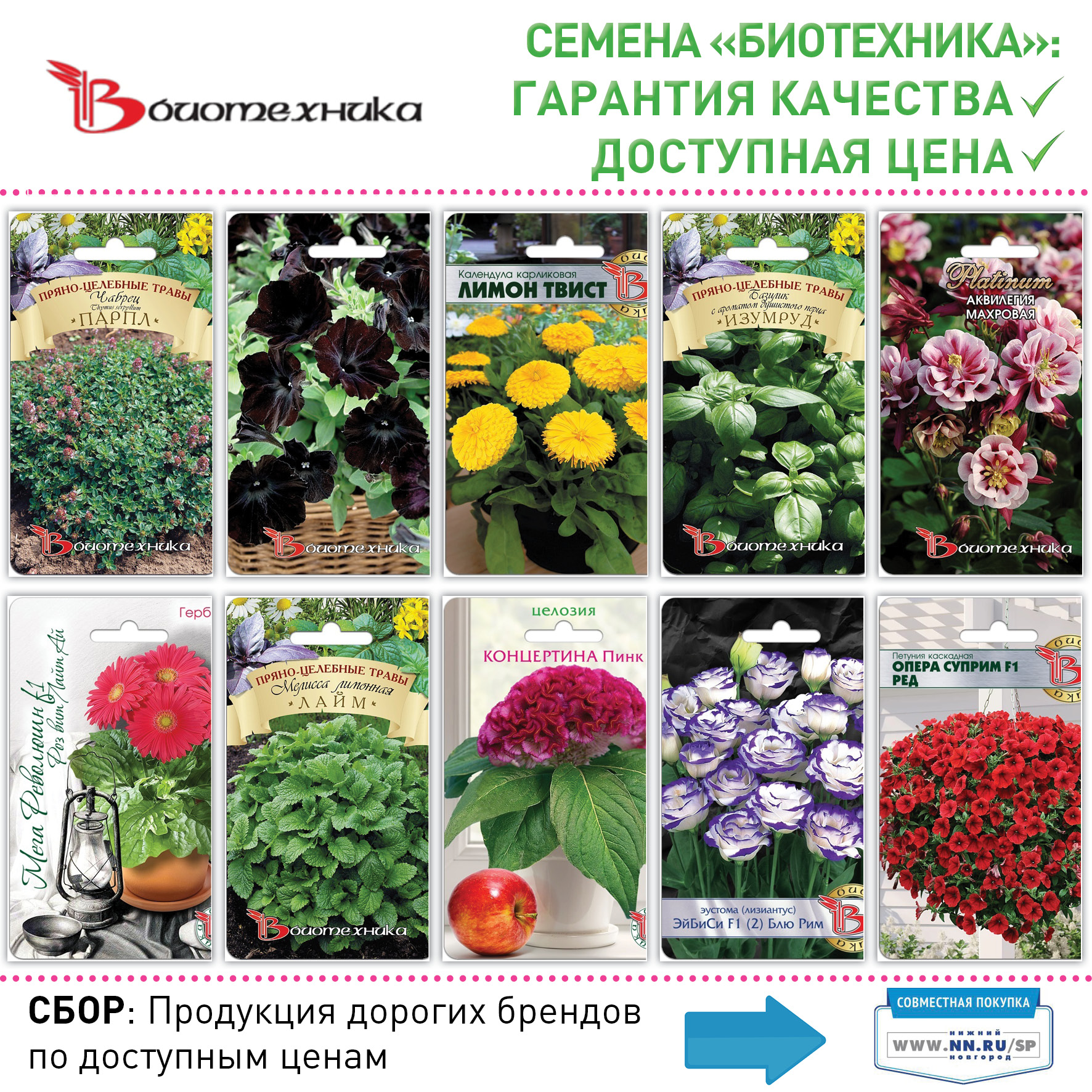 Биотехника семена официальный сайт интернет магазин москва вегетативный рост марихуаны