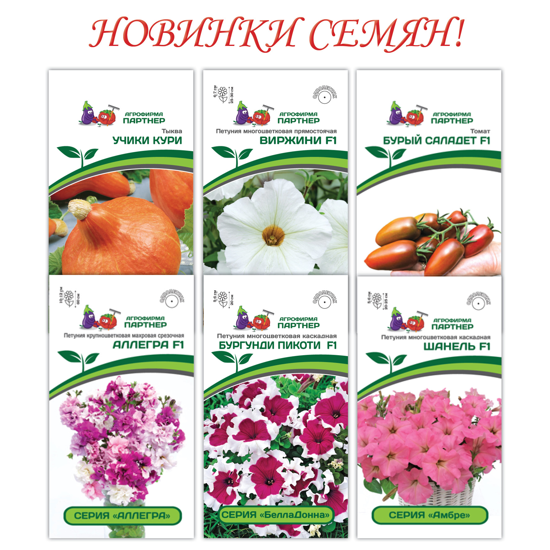 Семена Семко Интернет Магазин 2021