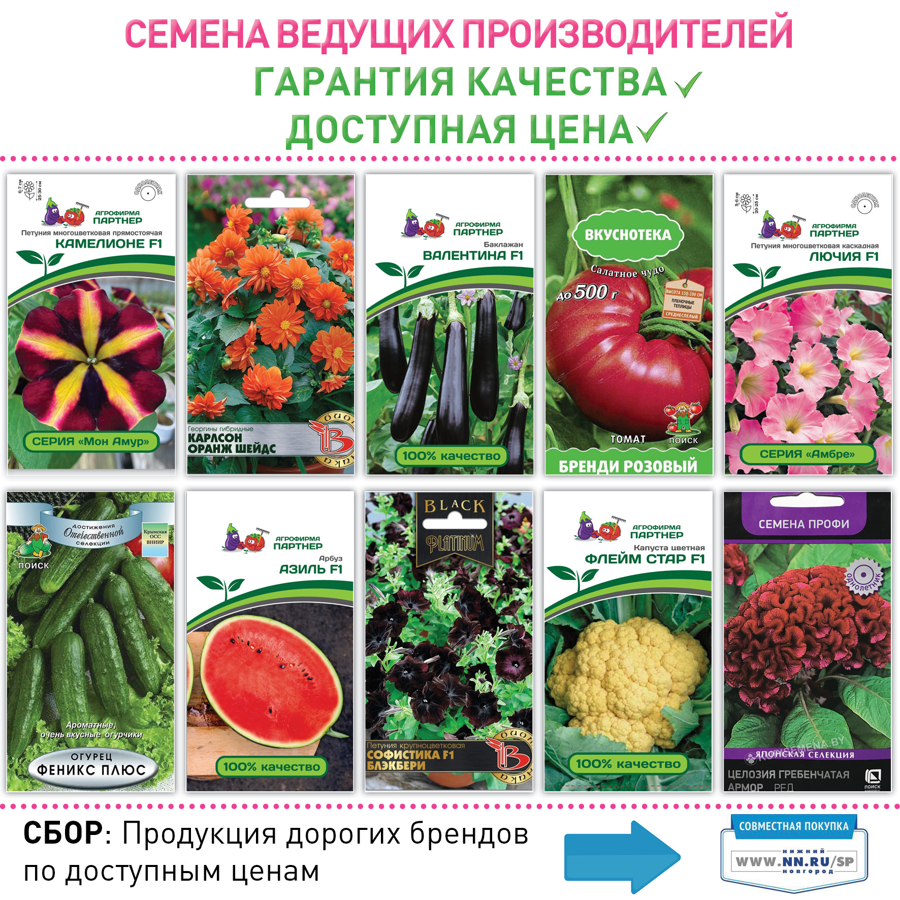 биотехника семена официальный сайт интернет магазин москва