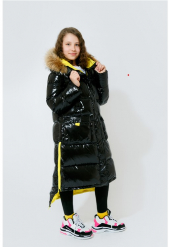   27.09.     Arctic Goose        ,      68  170 . ,,,.