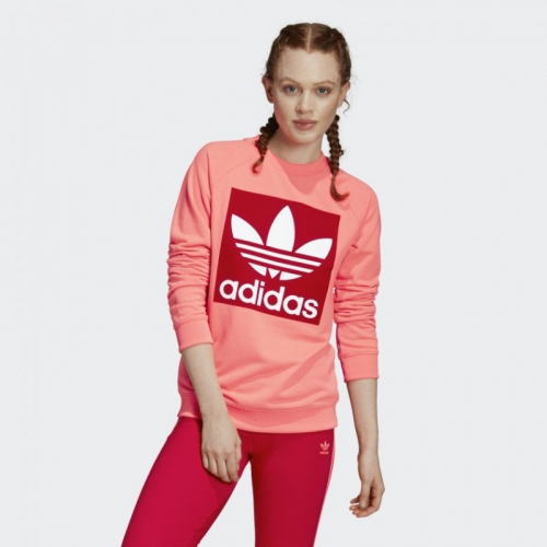   .  . Adidas, Nike, Reebok, Puma, Salomon, Under Armour    .   65%-   ,   .  6