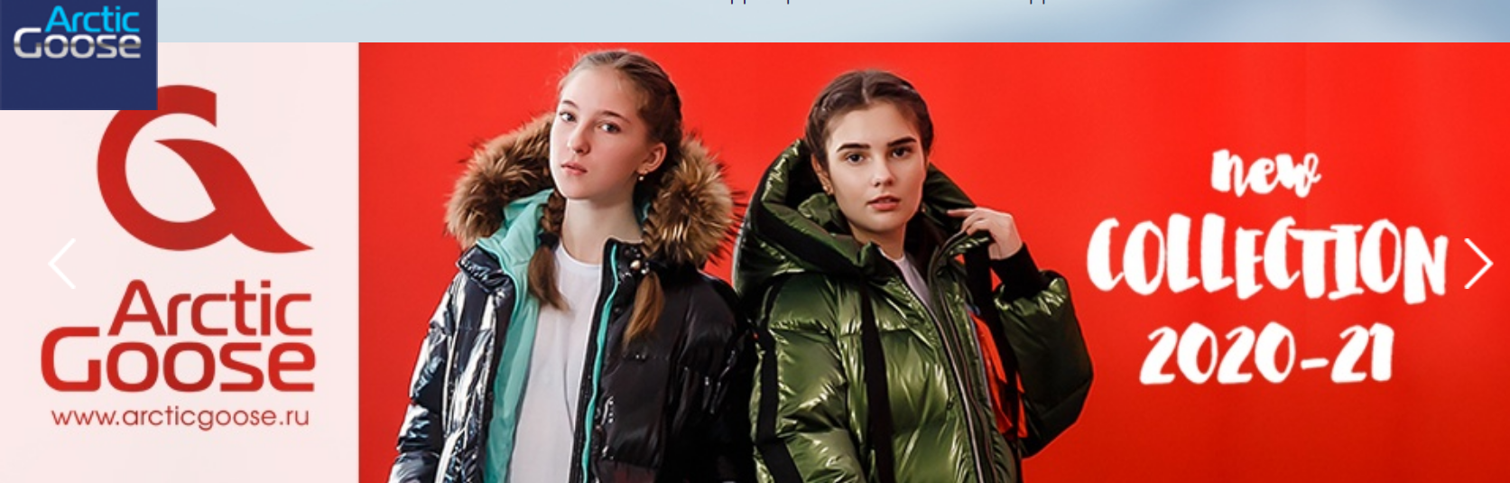  . Arctic Goose -  , ,  -   - ,  74-170!   !   2020-21.   .  -    ! 5/2