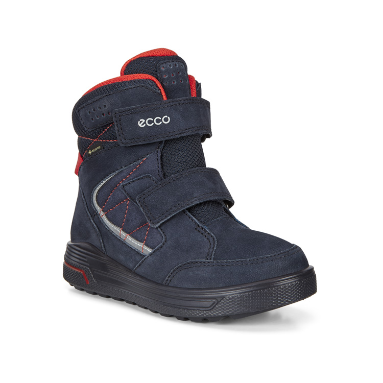   Ecco -   ӣ