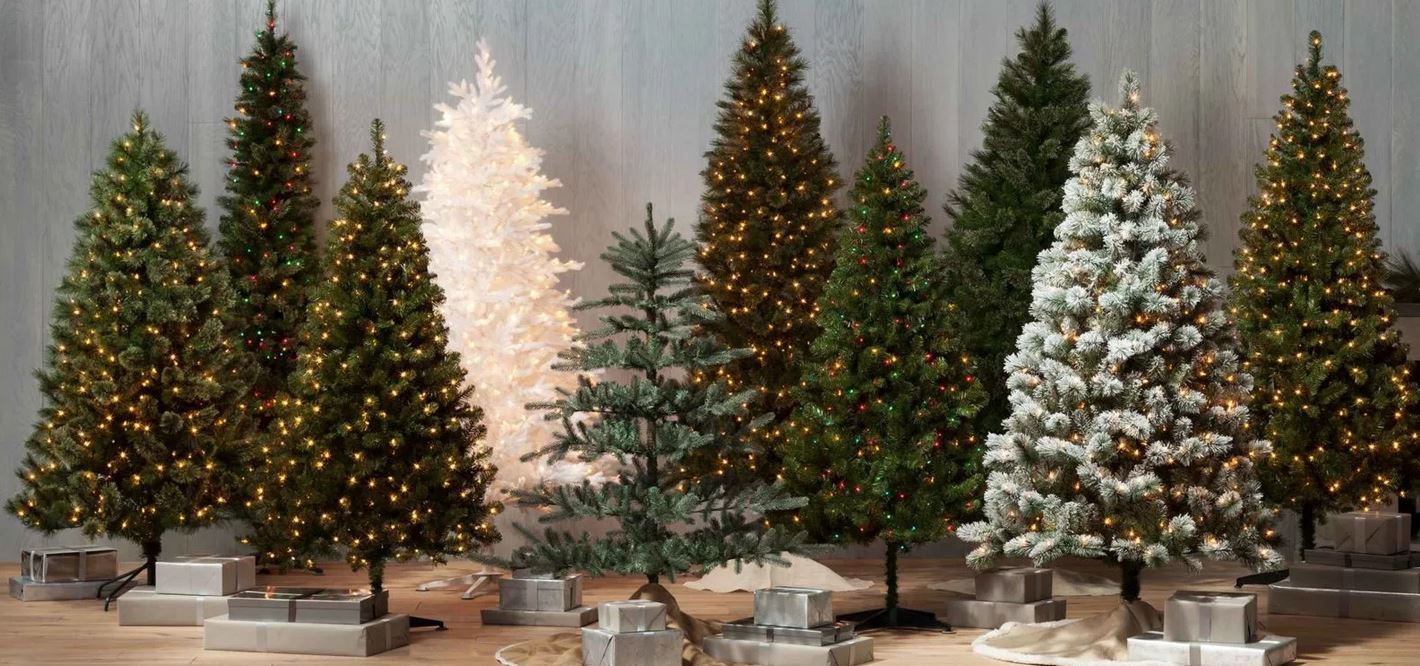 ,    ! &#127876; MOROZCO, BEATREES . , &#127876; , &#127876;    . 