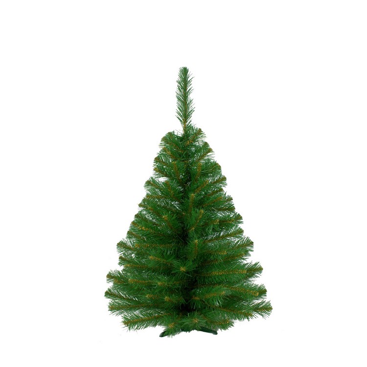 [b]  03.12.20      🎄  , , , .    , , , ,     [/b]