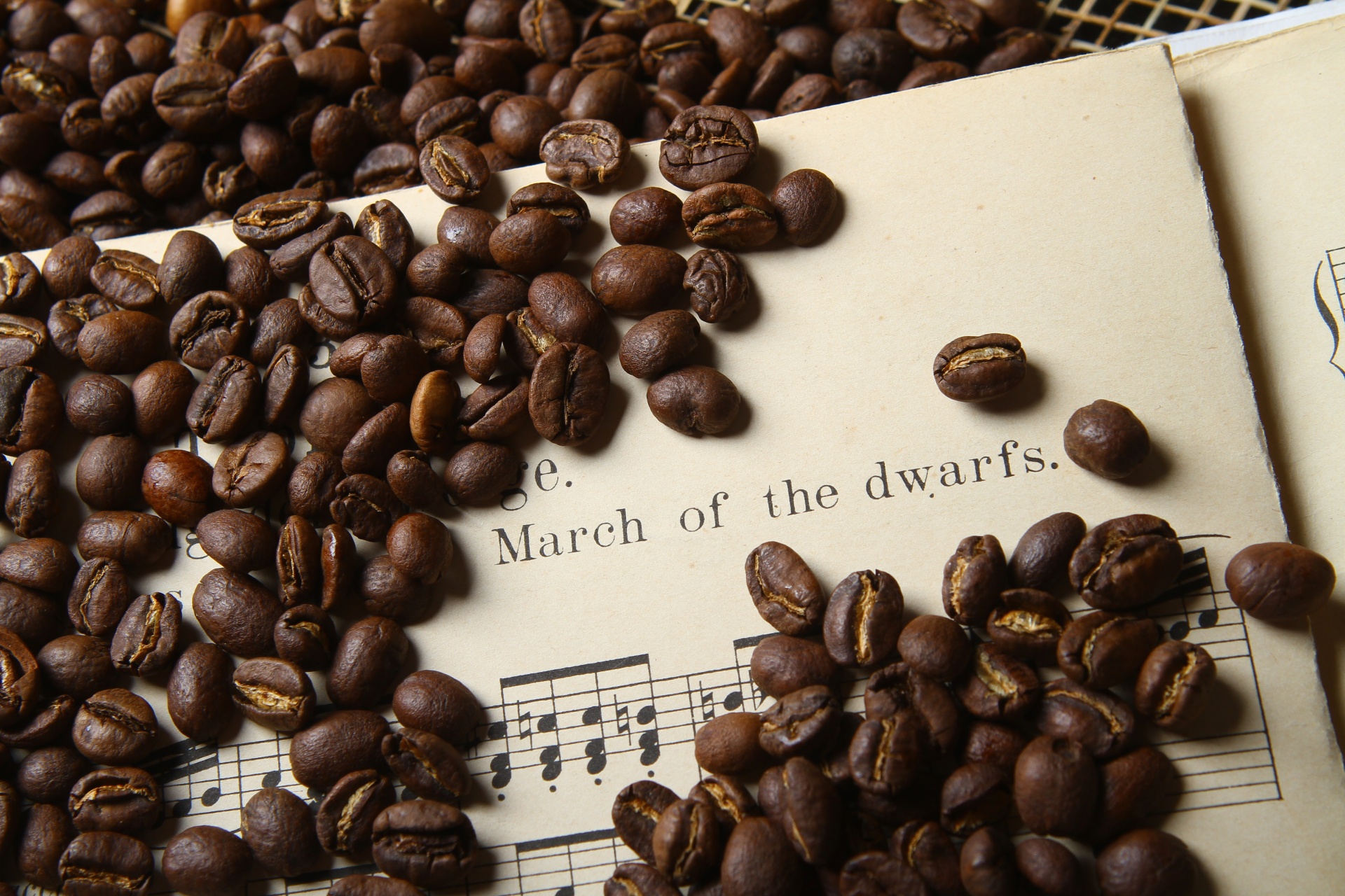 100%   . - ,   ,    .     Z Mono Ethiopia. 100%   . - ,   ,    . 