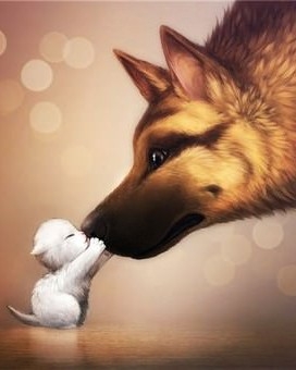   )) 